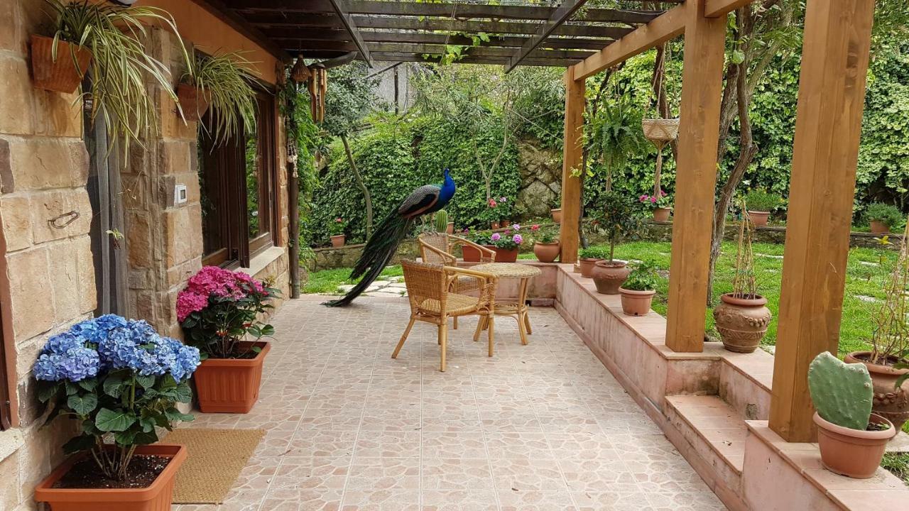 Appartamenti Casa Santi Portoferraio Exterior foto